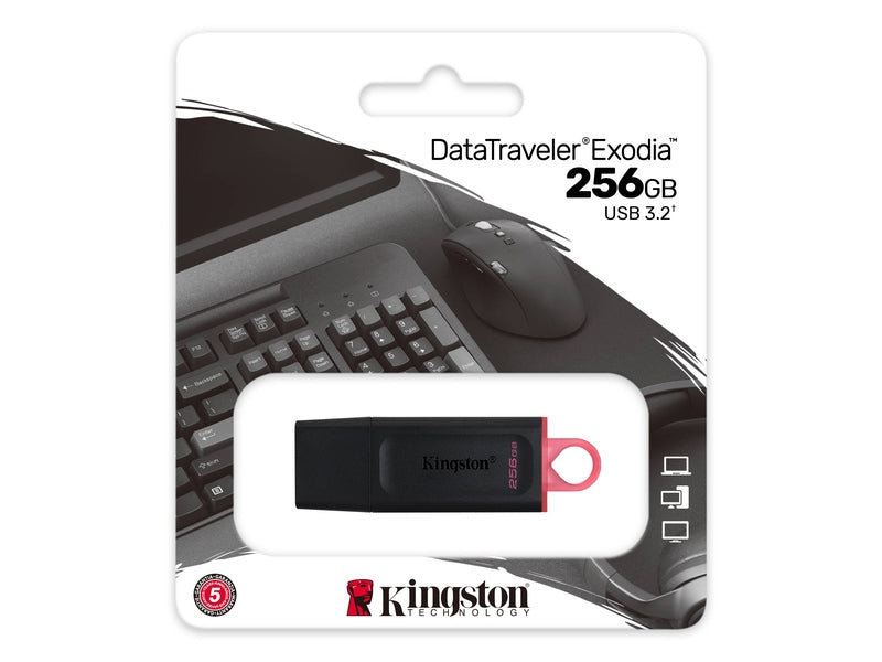 Kingston DataTraveler Exodia DTX 256 GB USB 3.2 Gen 1 Flash Drive - Black