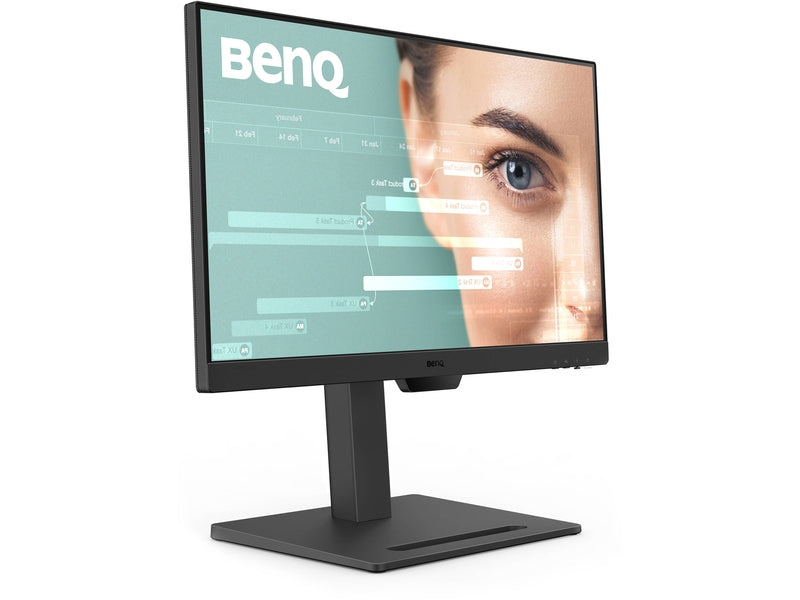 BenQ GW2490T 24" Class Full HD LED Monitor